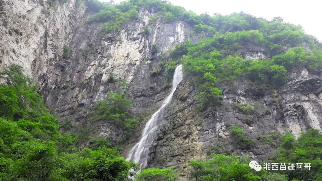吃鸡模拟器